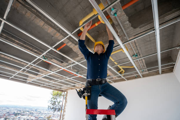 Best Same-Day Plumbing Service  in Warren, MN