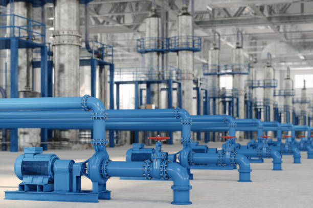 Best Plumbing Inspection Services  in Warren, MN